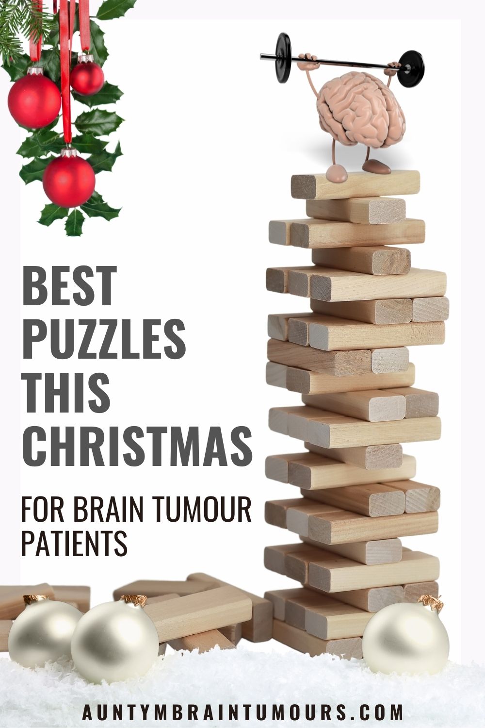 Puzzles Brain Teasers for Brain Tumour Patients This Christmas