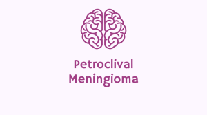 petroclival meningioma stories